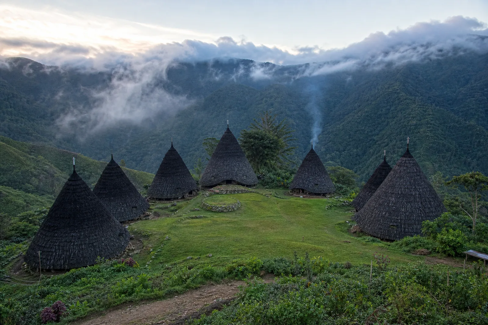 Wae Rebo Flores: How to Visit in 2026