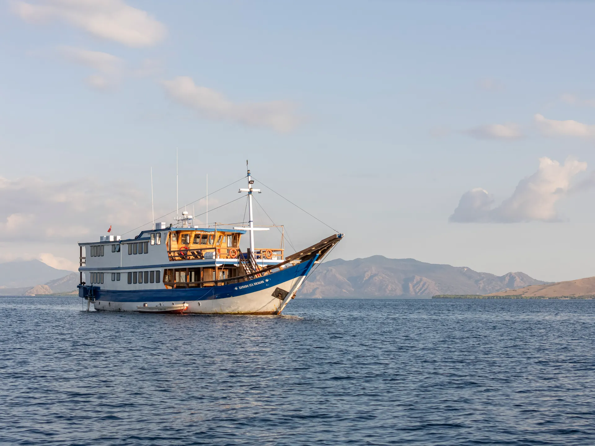 Komodo Sea Dragon cruising in Komodo National Park