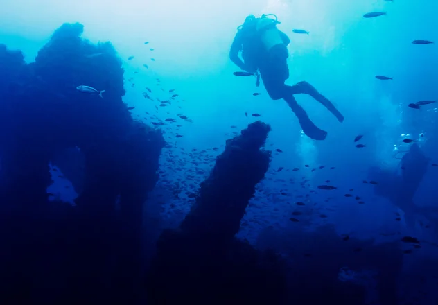 Deep Dive