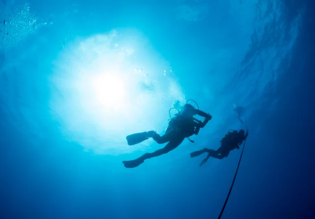 Indonesia Diving