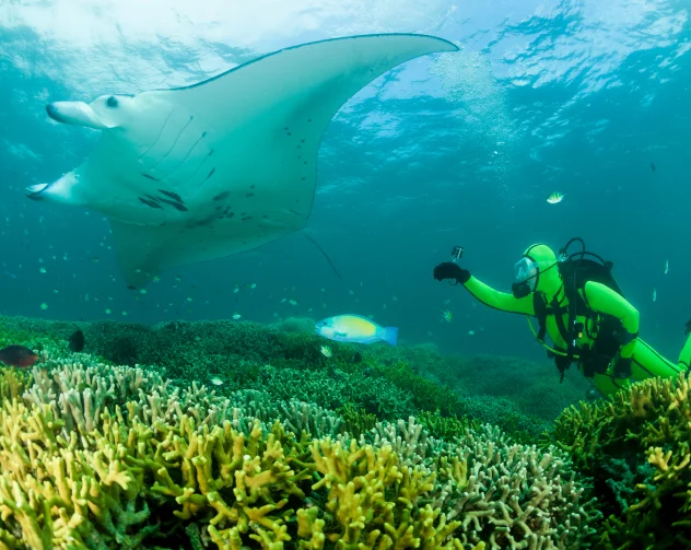 Komodo National Park’s Underwater Adventure