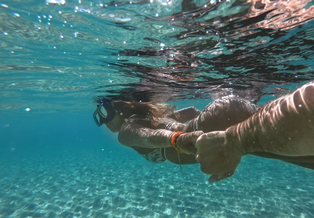 Shore Dive
