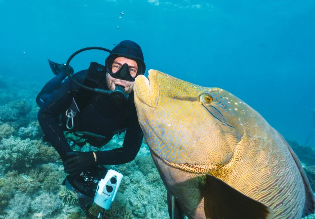 The most popular itinerary